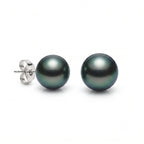 18K White Gold Tahitian Black Pearl Stud Earrings