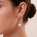 Japanese Akoya Pearl Drop Hoop Earrings - 18K White Gold Plated Sterling Silver